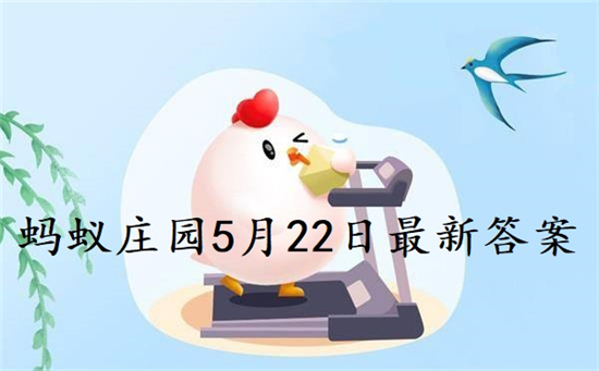 小鸡庄园最新的答案5.22