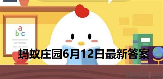 小鸡庄园最新的答案6.12