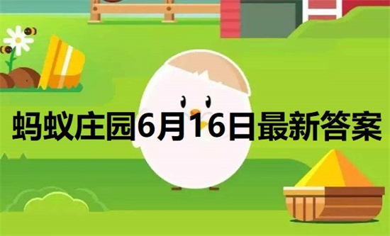 蚂蚁庄园最新的答案6月16日