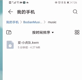 波点音乐下载的音乐在哪个文件夹 苹果手机波点音乐下载的音乐在哪个文件夹