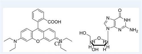 chemdraw电脑版免费版 v19.0