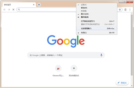 谷歌浏览器网页版下载-谷歌网页版入口中文版 v95.0.46下载